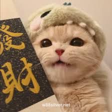 Avatar người dùng